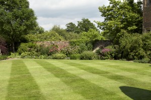 Early Summer Lawn treatments
