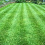 Banbury Lawncare, Feed & Weed Service example