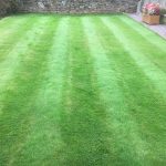 Feed and Weed Lawn treatment Hook Norton