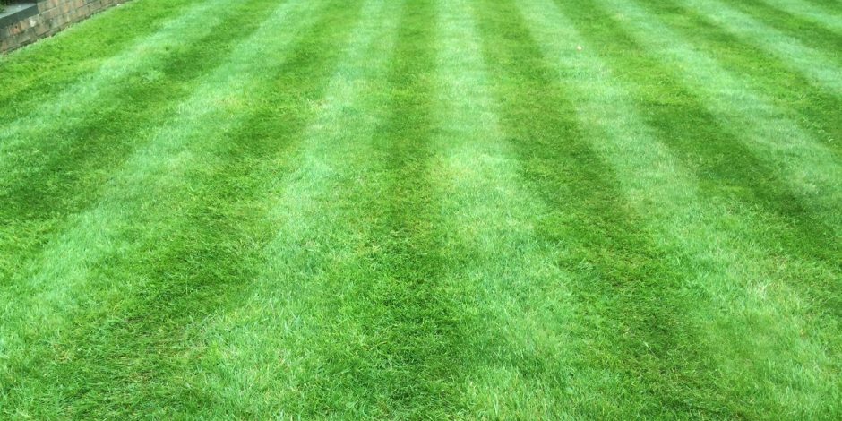 Lawncare Feed and Weed Service, Banbury