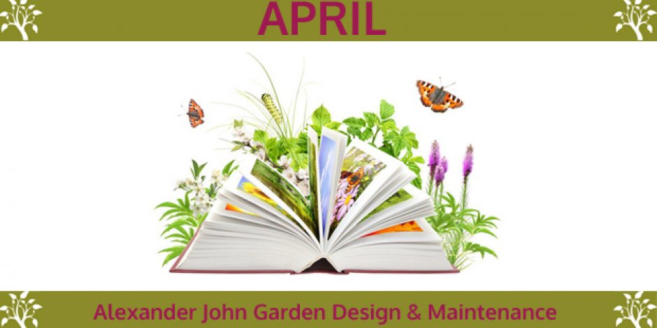 The April Garden