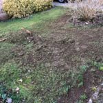 Chipping Norton Lawn Scarification dressed and seeded