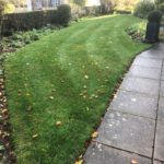 Sulgrave Lawn restoration after 1st cut